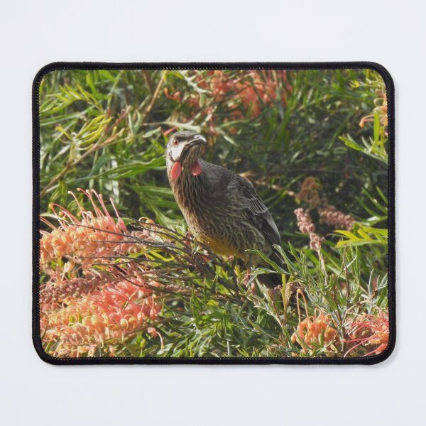 Item preview, Wattlebird designed and sold by BushBirdPhotos.