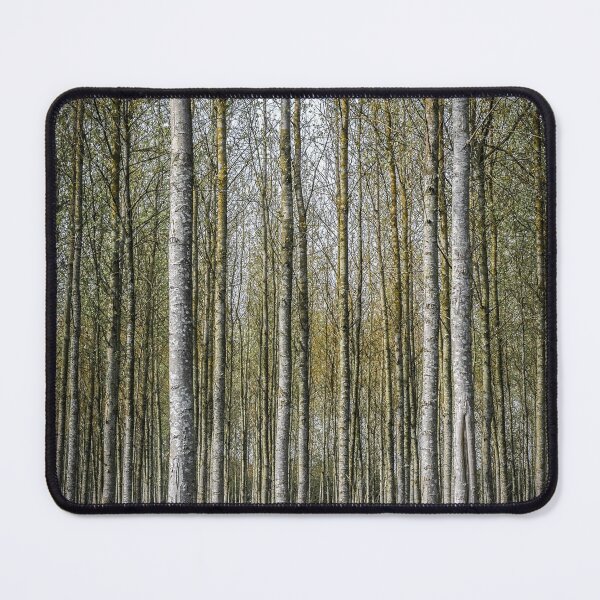Item preview, White Sapling Tree Plantation designed and sold by Tony North.