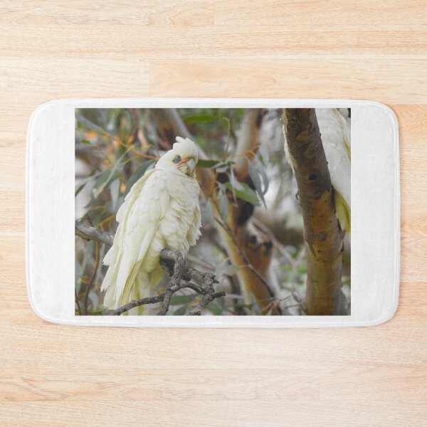 Item preview, Corella / White Cockatoo Sleeping designed and sold by BushBirdPhotos.