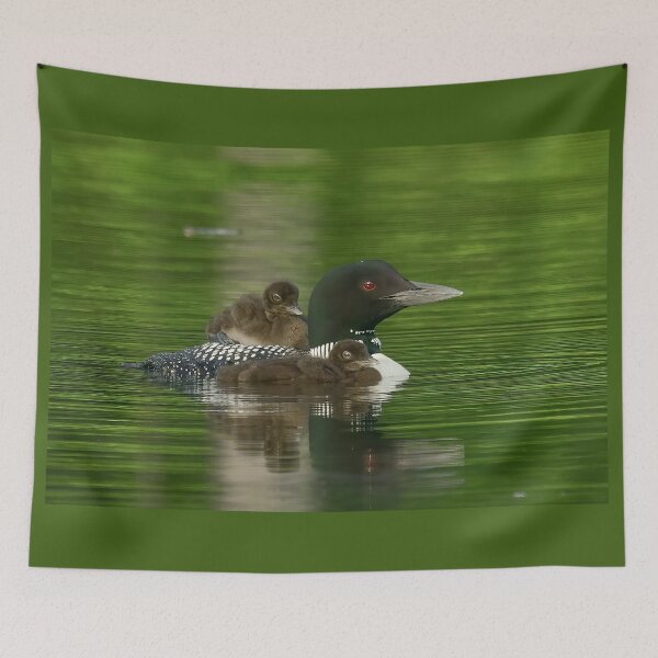 Item preview, Common Loon Mom with Two Babies designed and sold by LindaCPhoto.