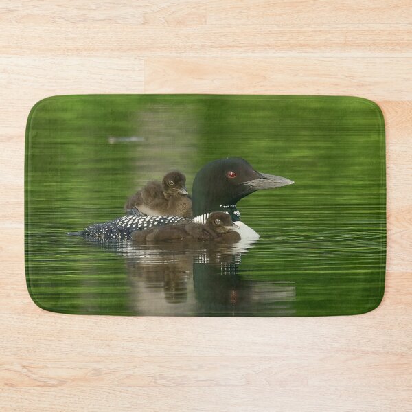 Item preview, Common Loon Mom with Two Babies designed and sold by LindaCPhoto.