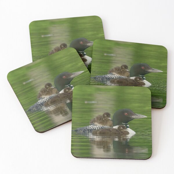 Item preview, Common Loon Mom with Two Babies designed and sold by LindaCPhoto.