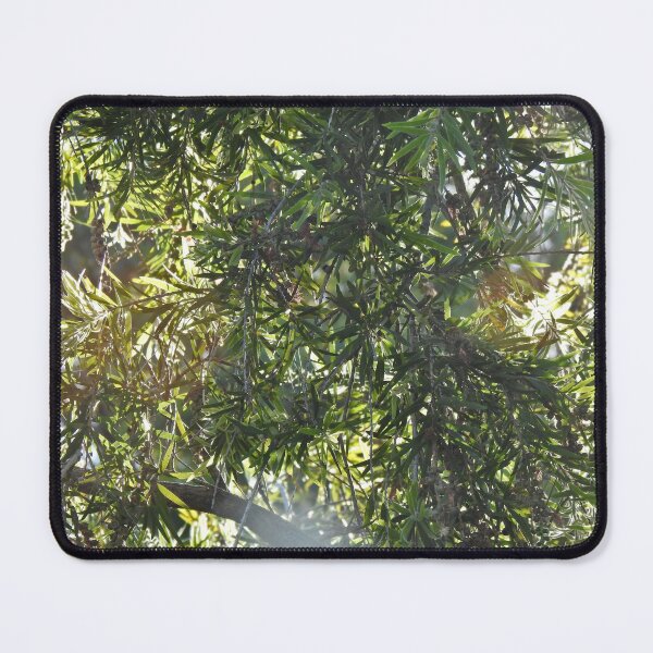 Item preview, Glowing Leaves designed and sold by BushBirdPhotos.
