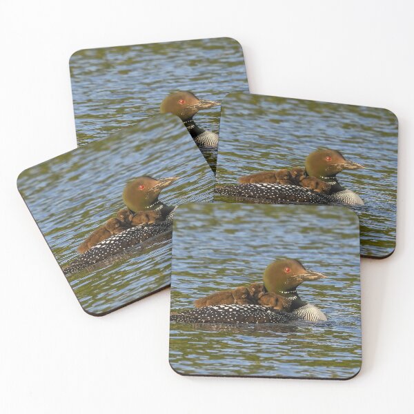 Item preview, Common Loon Mom with both Babies on her back designed and sold by LindaCPhoto.