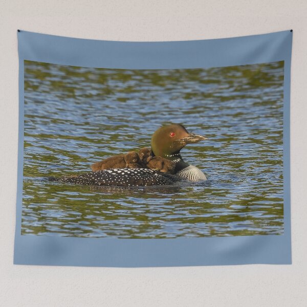 Item preview, Common Loon Mom with both Babies on her back designed and sold by LindaCPhoto.