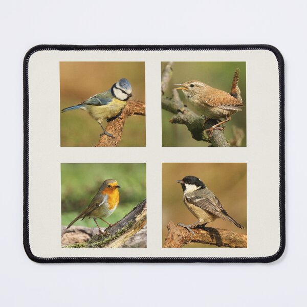 Item preview, Garden Bird Collection designed and sold by Jane Stanley Photography.