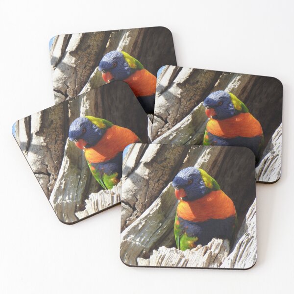 Item preview, Rainbow Lorikeet designed and sold by BushBirdPhotos.