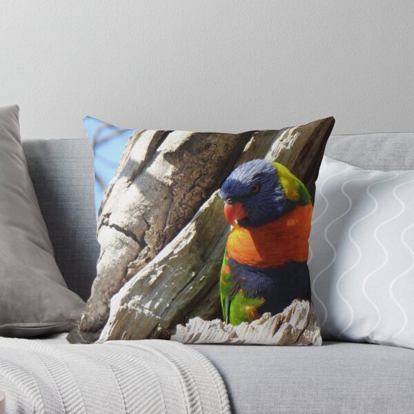 Item preview, Rainbow Lorikeet designed and sold by BushBirdPhotos.