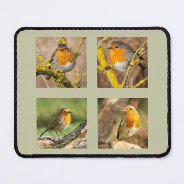 Item preview, Robin Collection designed and sold by Jane Stanley Photography.