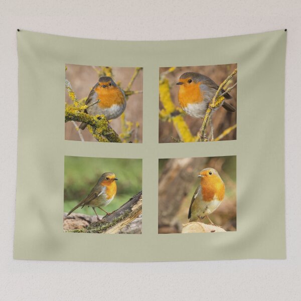 Item preview, Robin Collection designed and sold by Jane Stanley Photography.