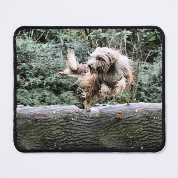 Item preview, Leap Of Faith designed and sold by Paul Thompson Photography.