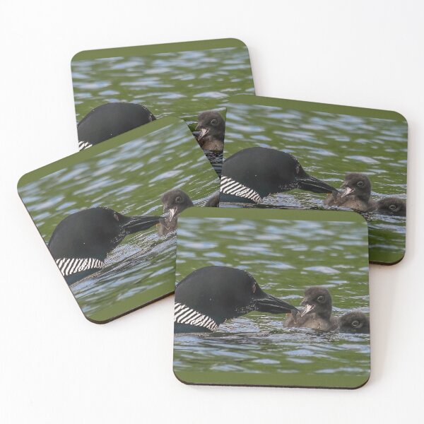 Item preview, Common Loon Mom Feeding a Fish to One of its Two Babies designed and sold by LindaCPhoto.