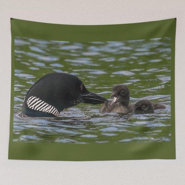 Item preview, Common Loon Mom Feeding a Fish to One of its Two Babies designed and sold by LindaCPhoto.