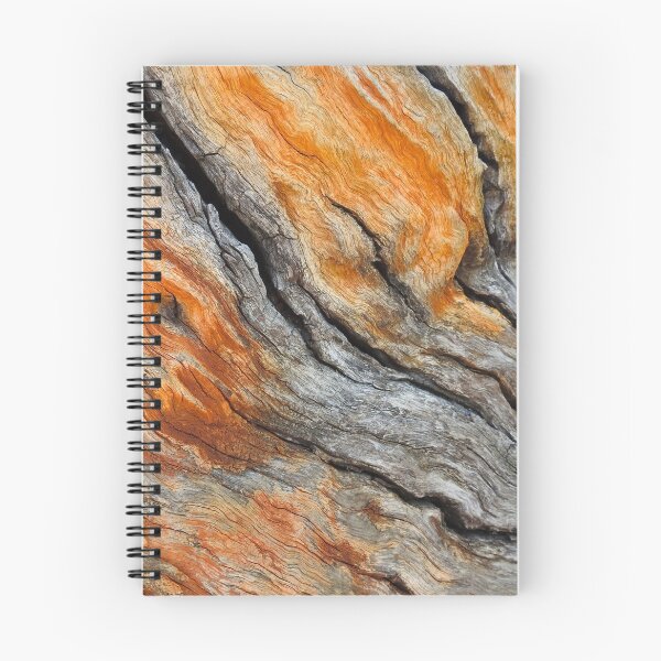 Item preview, Orange Bark designed and sold by BushBirdPhotos.