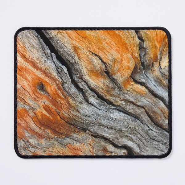 Item preview, Orange Bark designed and sold by BushBirdPhotos.