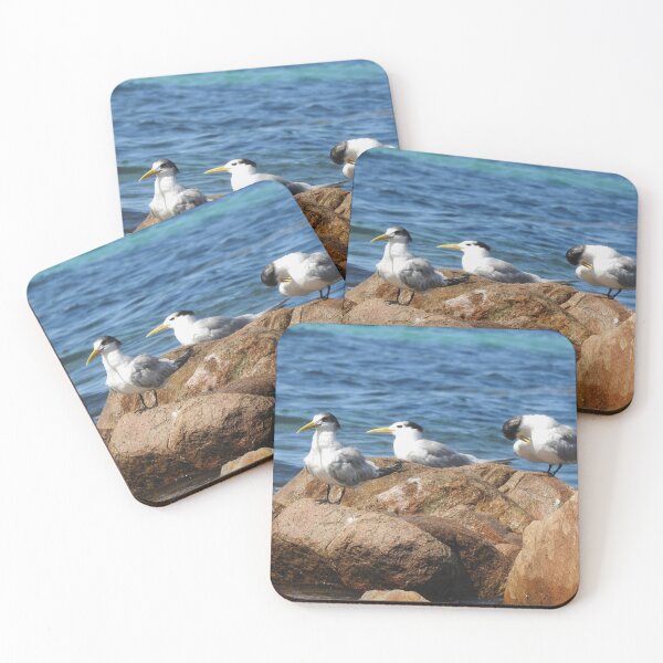 Item preview, Seabirds designed and sold by BushBirdPhotos.
