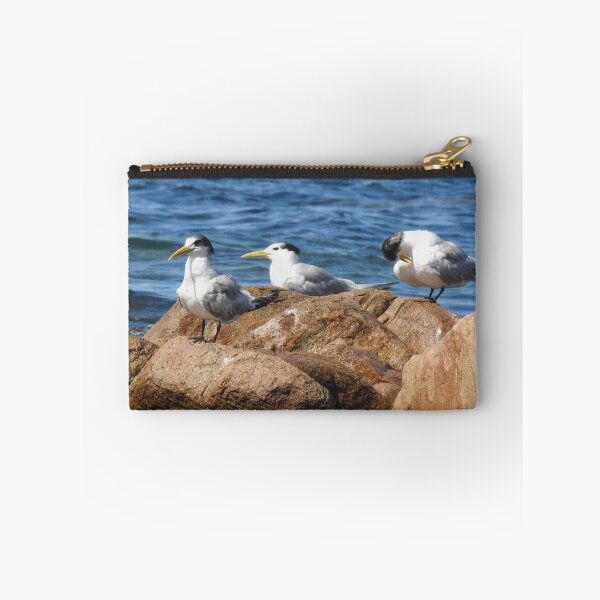 Item preview, Seabirds designed and sold by BushBirdPhotos.