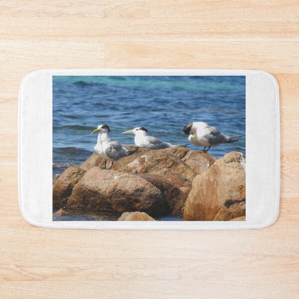 Item preview, Seabirds designed and sold by BushBirdPhotos.