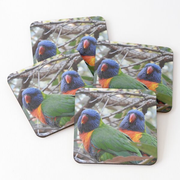 Item preview, Two Rainbow Lorikeets designed and sold by BushBirdPhotos.