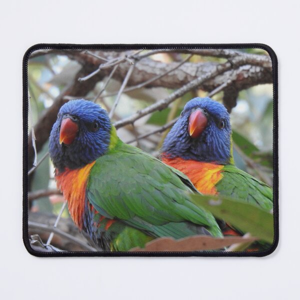 Item preview, Two Rainbow Lorikeets designed and sold by BushBirdPhotos.