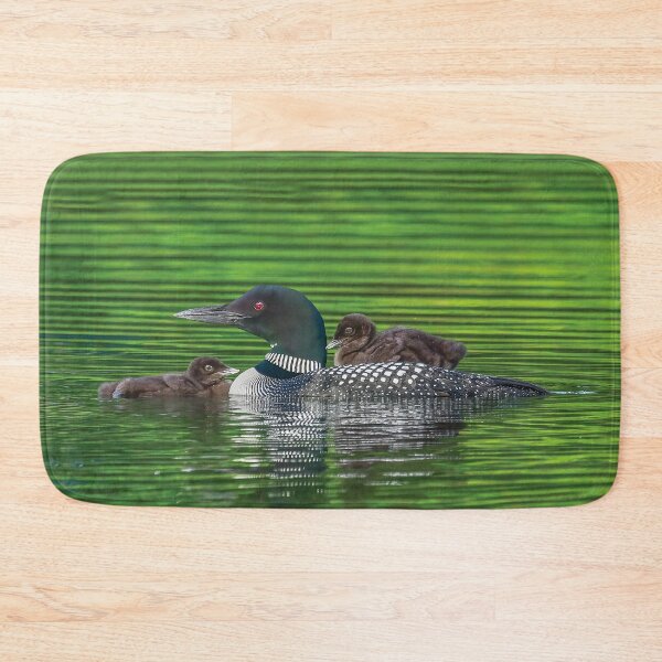 Item preview, Common Loon Family with one Baby Riding on Mom's Back and the other Snuggling designed and sold by LindaCPhoto.