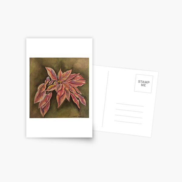 Hawaiian Poinsettia Postcard
