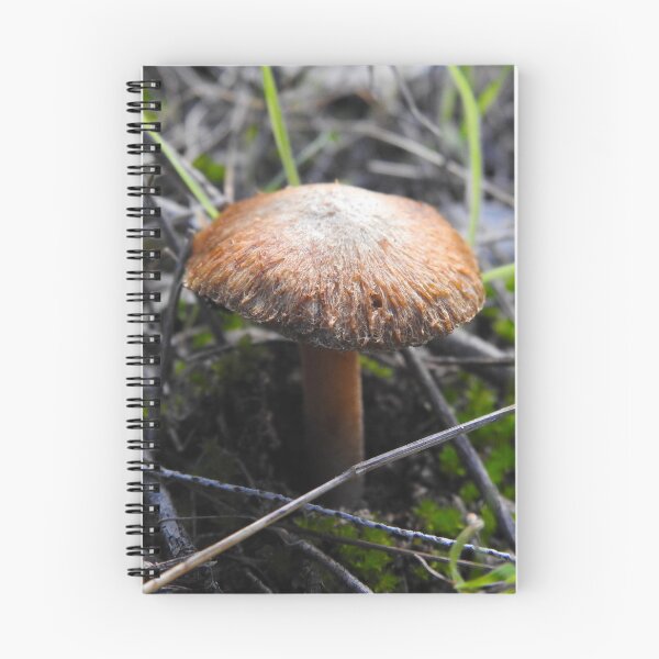 Item preview, Mushroom designed and sold by BushBirdPhotos.