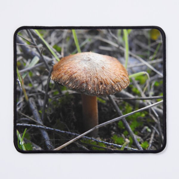 Item preview, Mushroom designed and sold by BushBirdPhotos.