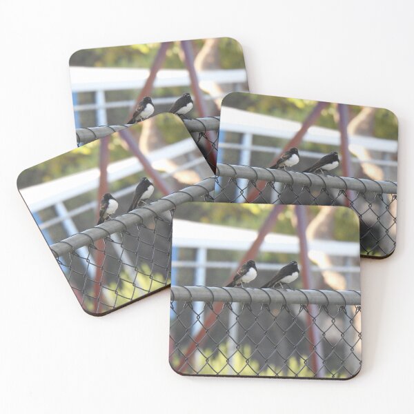 Item preview, Willy Wag Tails on Fence designed and sold by BushBirdPhotos.