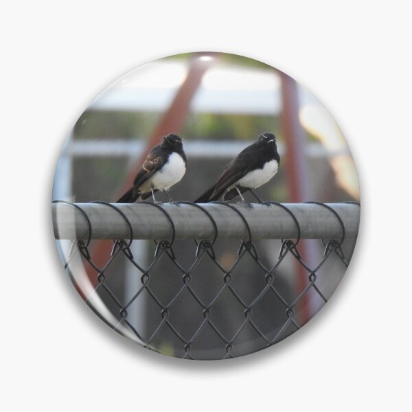Item preview, Willy Wag Tails on Fence designed and sold by BushBirdPhotos.