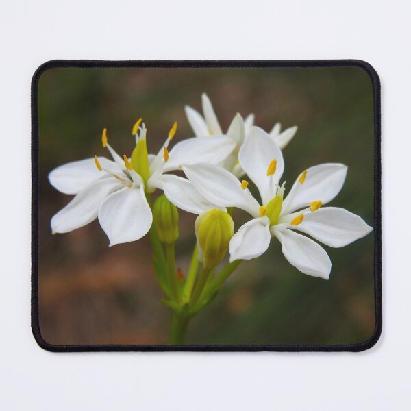 Item preview, White Flowers designed and sold by BushBirdPhotos.