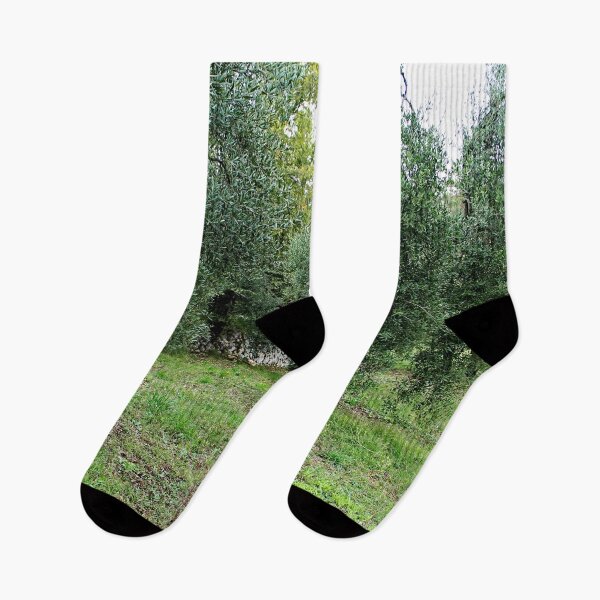 Item preview, Mediterranean Olive Trees Grove designed and sold by worldways.