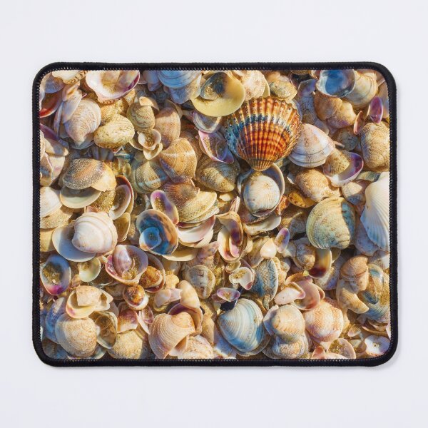 Item preview, Shells designed and sold by vuelo.