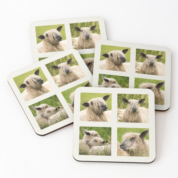 Item preview, Wensleydale Sheep Collection designed and sold by Jane Stanley Photography.