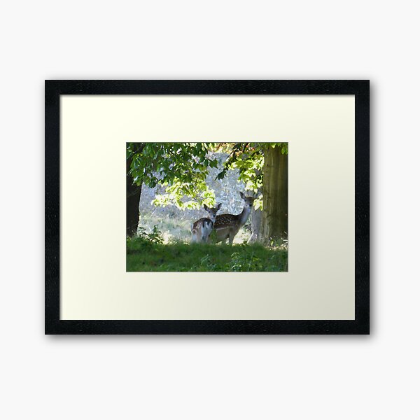 Hiding in the trees.... Framed Art Print