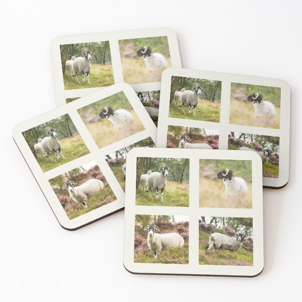 Item preview, Swaledale Sheep Collection designed and sold by Jane Stanley Photography.