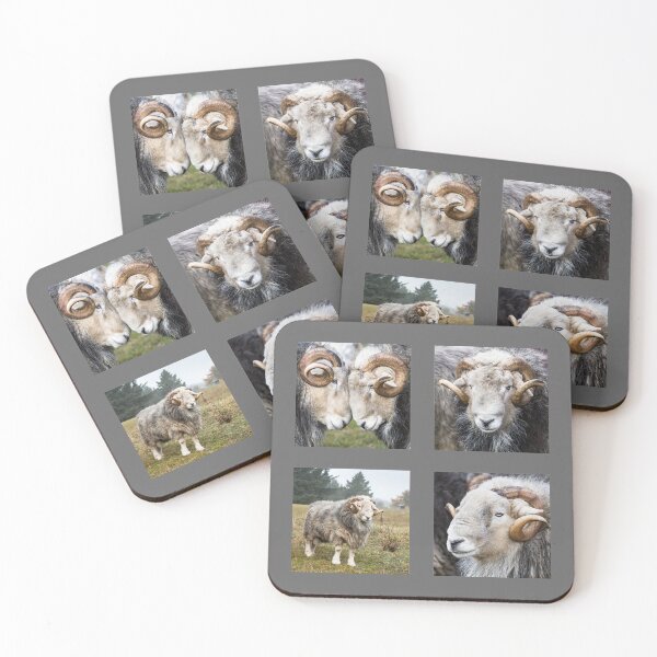 Item preview, Herdwick Sheep Collection, Rams designed and sold by Jane Stanley Photography.