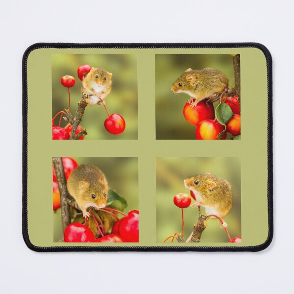 Item preview, Harvest Mice Collection II designed and sold by Jane Stanley Photography.