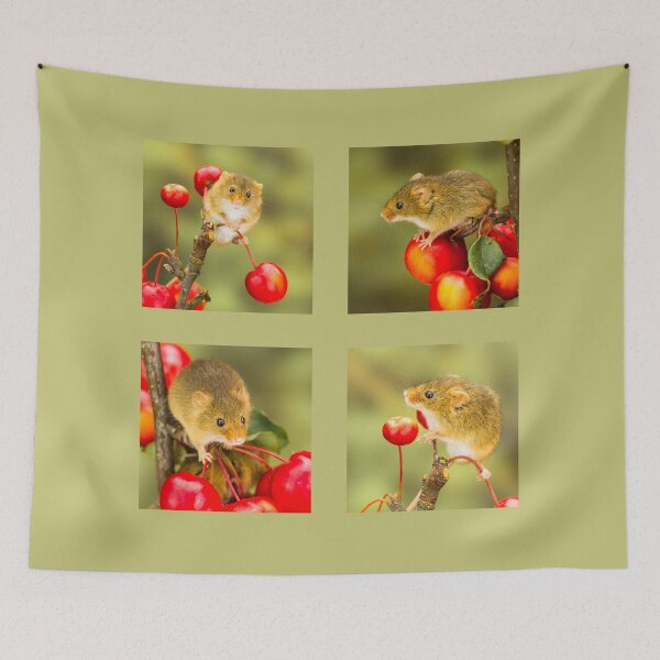 Item preview, Harvest Mice Collection II designed and sold by Jane Stanley Photography.