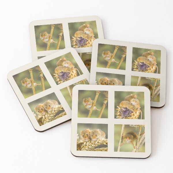 Item preview, Harvest Mice Collection  designed and sold by Jane Stanley Photography.