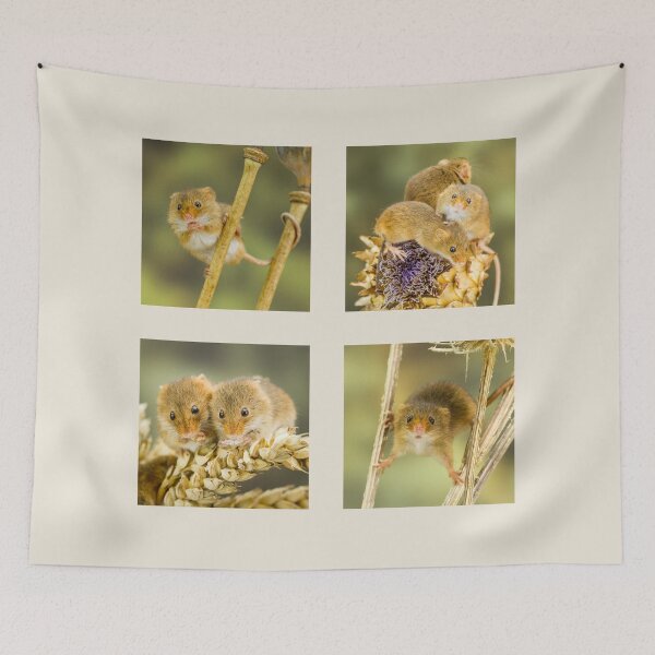 Item preview, Harvest Mice Collection  designed and sold by Jane Stanley Photography.