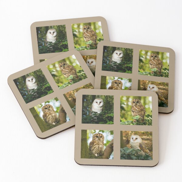 Item preview, British Owls Collection designed and sold by Jane Stanley Photography.