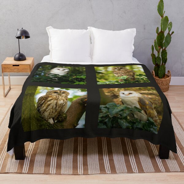 Item preview, British Owls Collection designed and sold by Jane Stanley Photography.