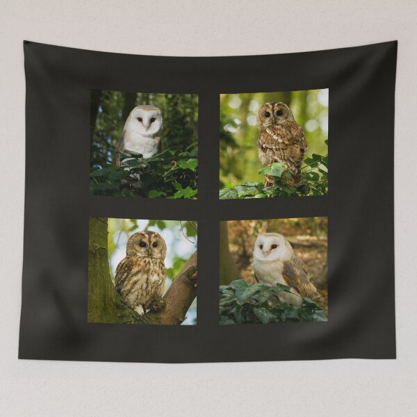 Item preview, British Owls Collection designed and sold by Jane Stanley Photography.