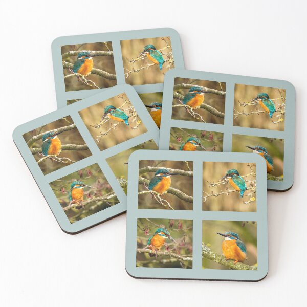 Item preview, Kingfisher Collection designed and sold by Jane Stanley Photography.