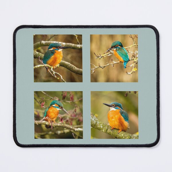 Item preview, Kingfisher Collection designed and sold by Jane Stanley Photography.
