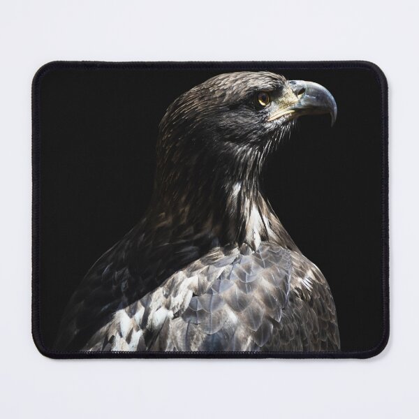 Item preview, Eagle I designed and sold by rodriguesfhs.