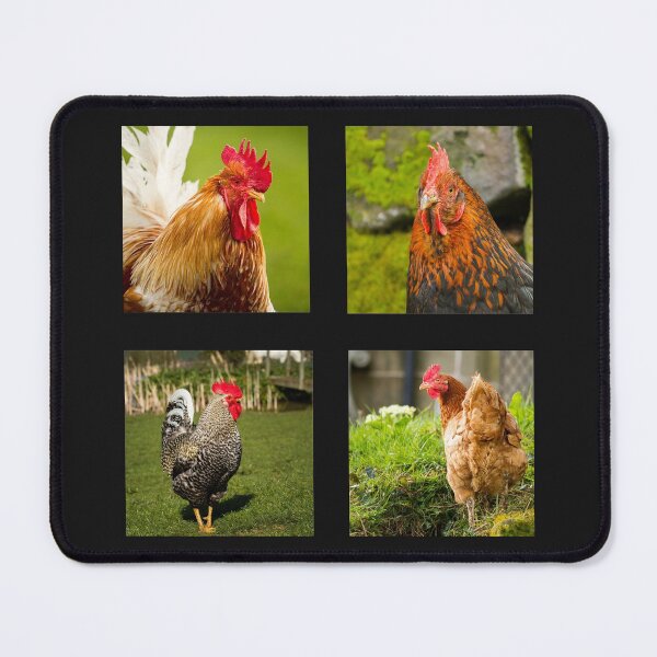 Item preview, Rooster Collection designed and sold by Jane Stanley Photography.
