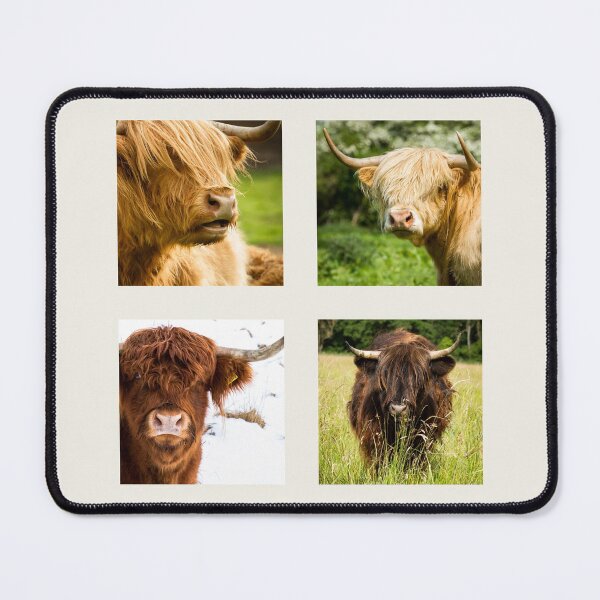 Item preview, Highland Cow Collection designed and sold by Jane Stanley Photography.