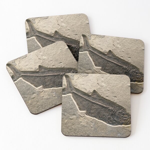 Item preview, fish fossil. designed and sold by cheechlaroo13.